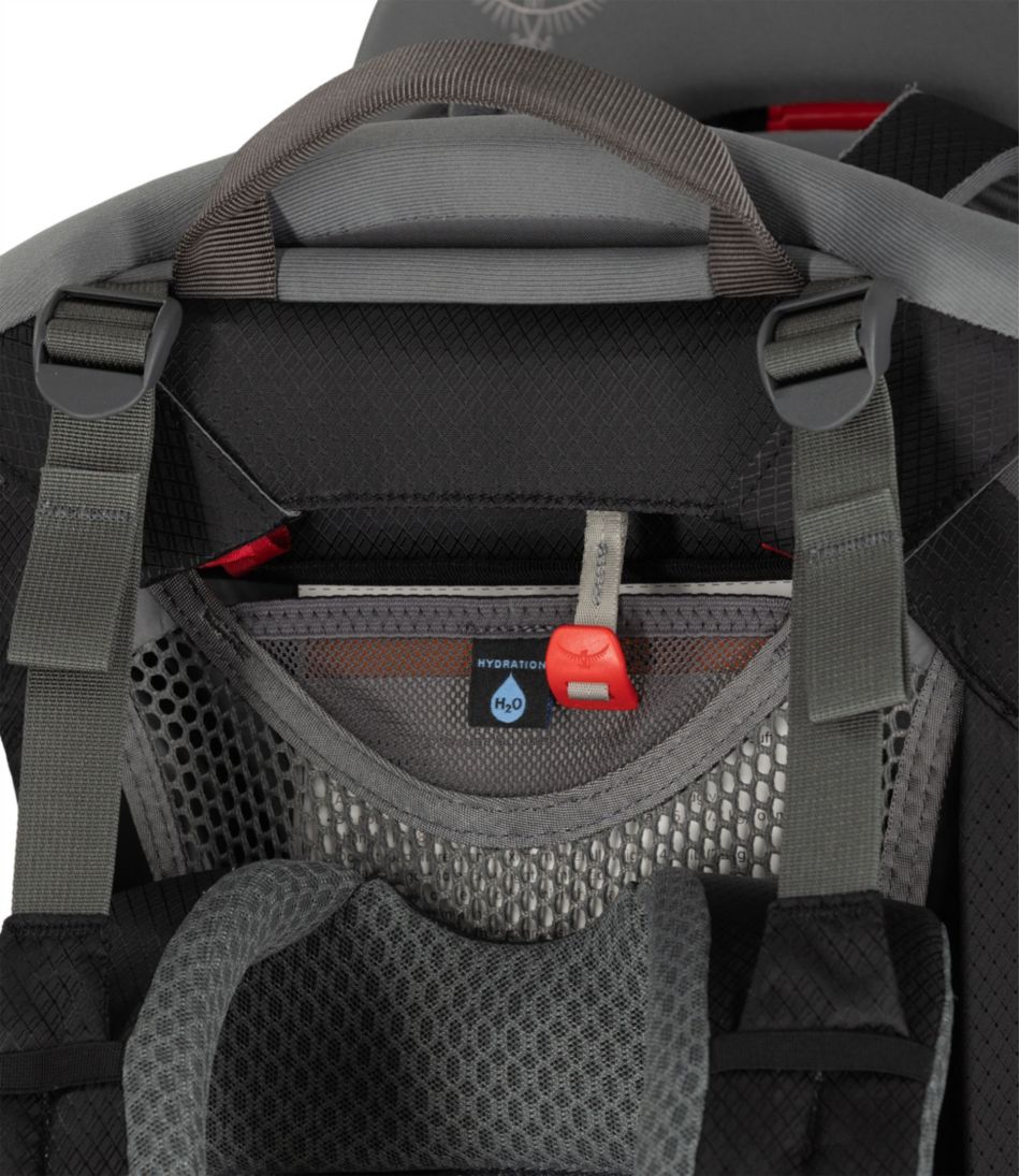 Osprey Poco Child Carrier Backpack L.L.Bean Everyday