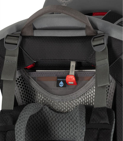 Osprey Poco Child Carrier Backpack L.L.Bean Everyday