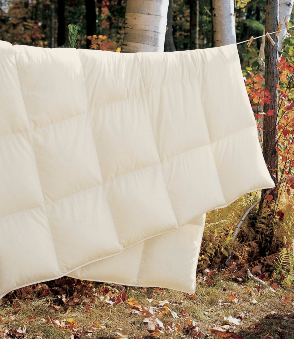 Box-Stitch Goose Down Comforter, Warm L.L.Bean Trending