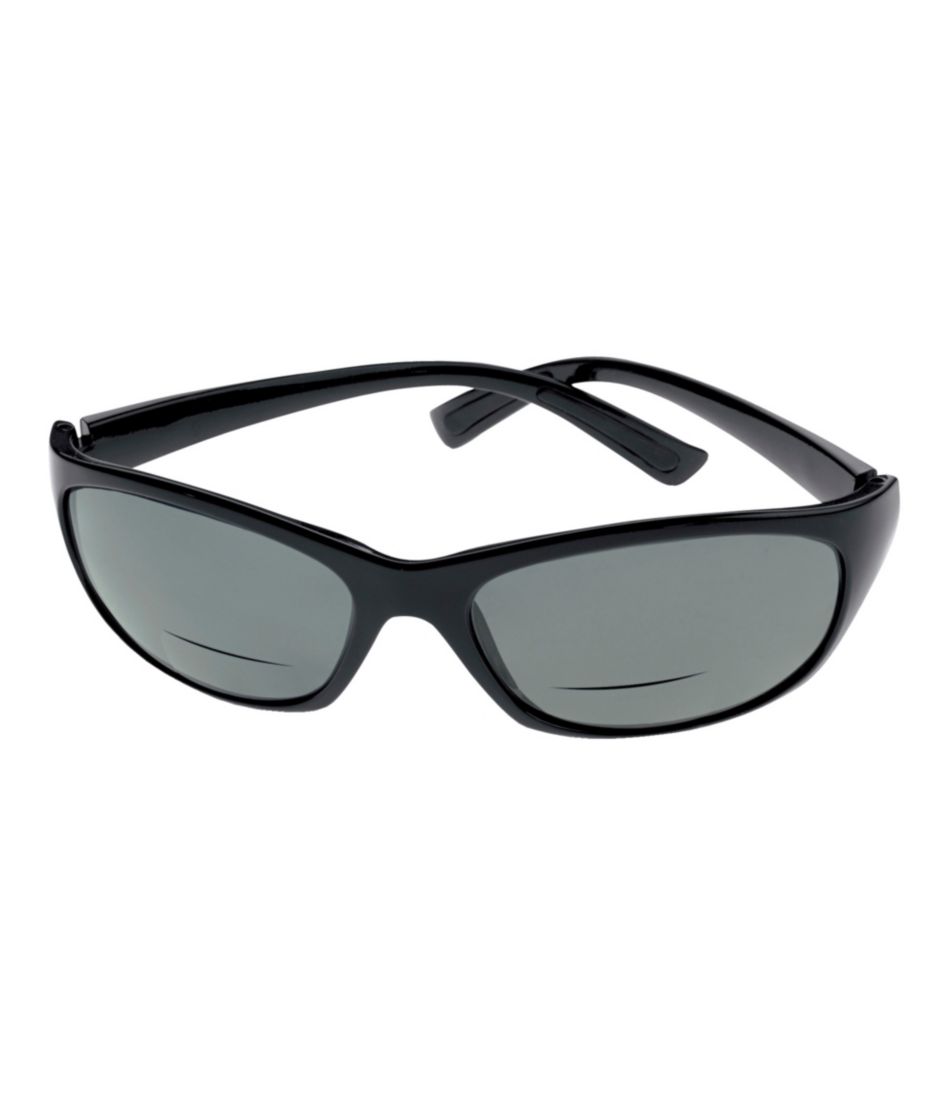 Polarized Performance Bifocals, Large L.L.Bean Top Pick