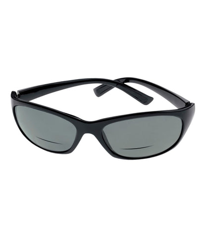 Polarized Performance Bifocals, Large L.L.Bean Top Pick