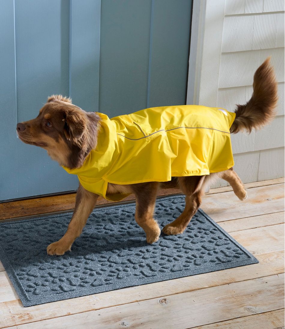 Recycled Waterhog Dog Mat, Scattered Paws L.L.Bean Value