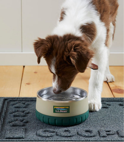 Recycled Waterhog Dog Placemat, Personalized L.L.Bean Premium