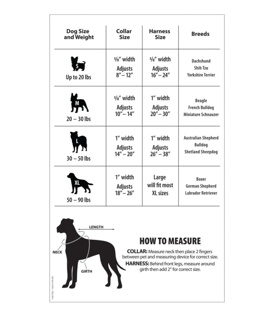 Personalized Pet Collar, Reflective L.L.Bean Trending