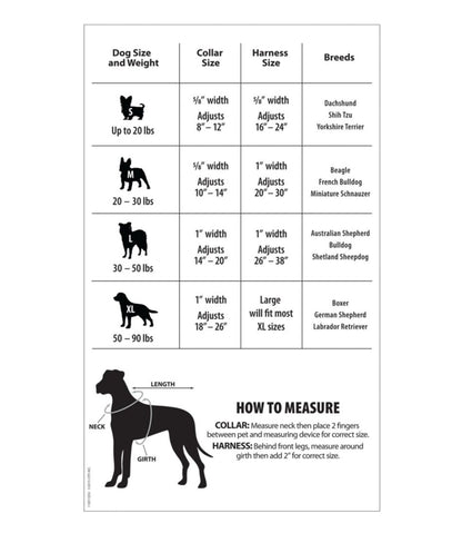 Personalized Pet Collar, Reflective L.L.Bean Trending