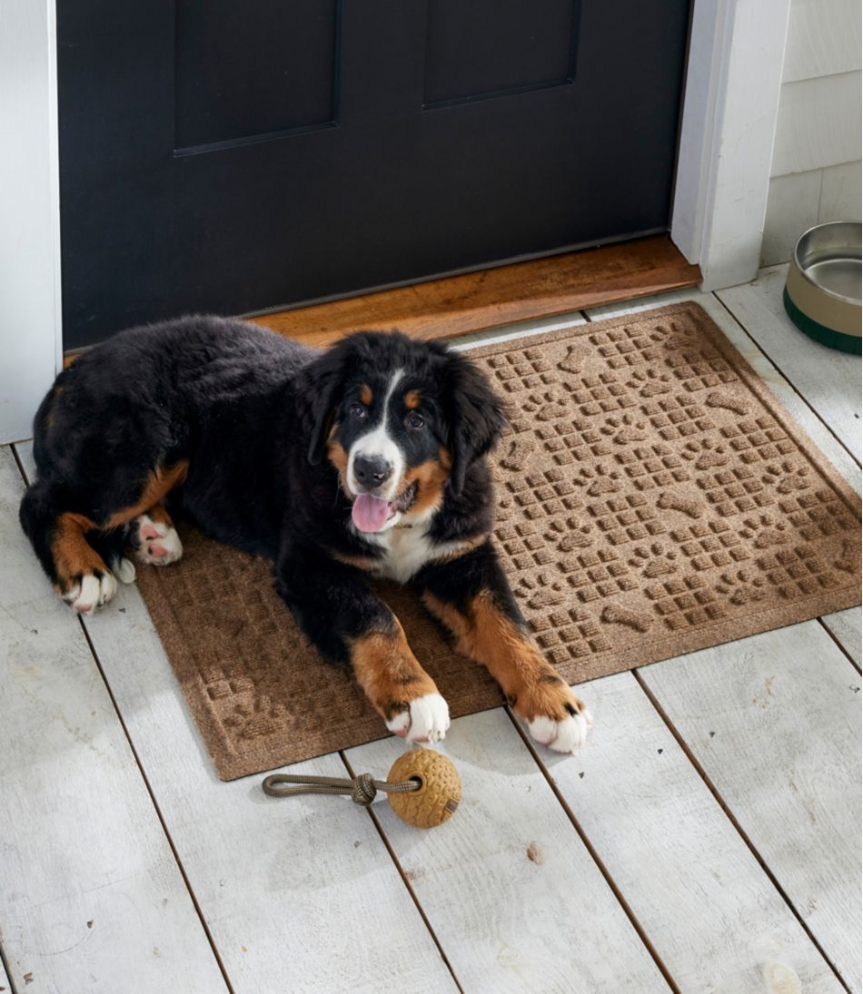 Waterhog Dog Bones and Paws Mat L.L.Bean Trending